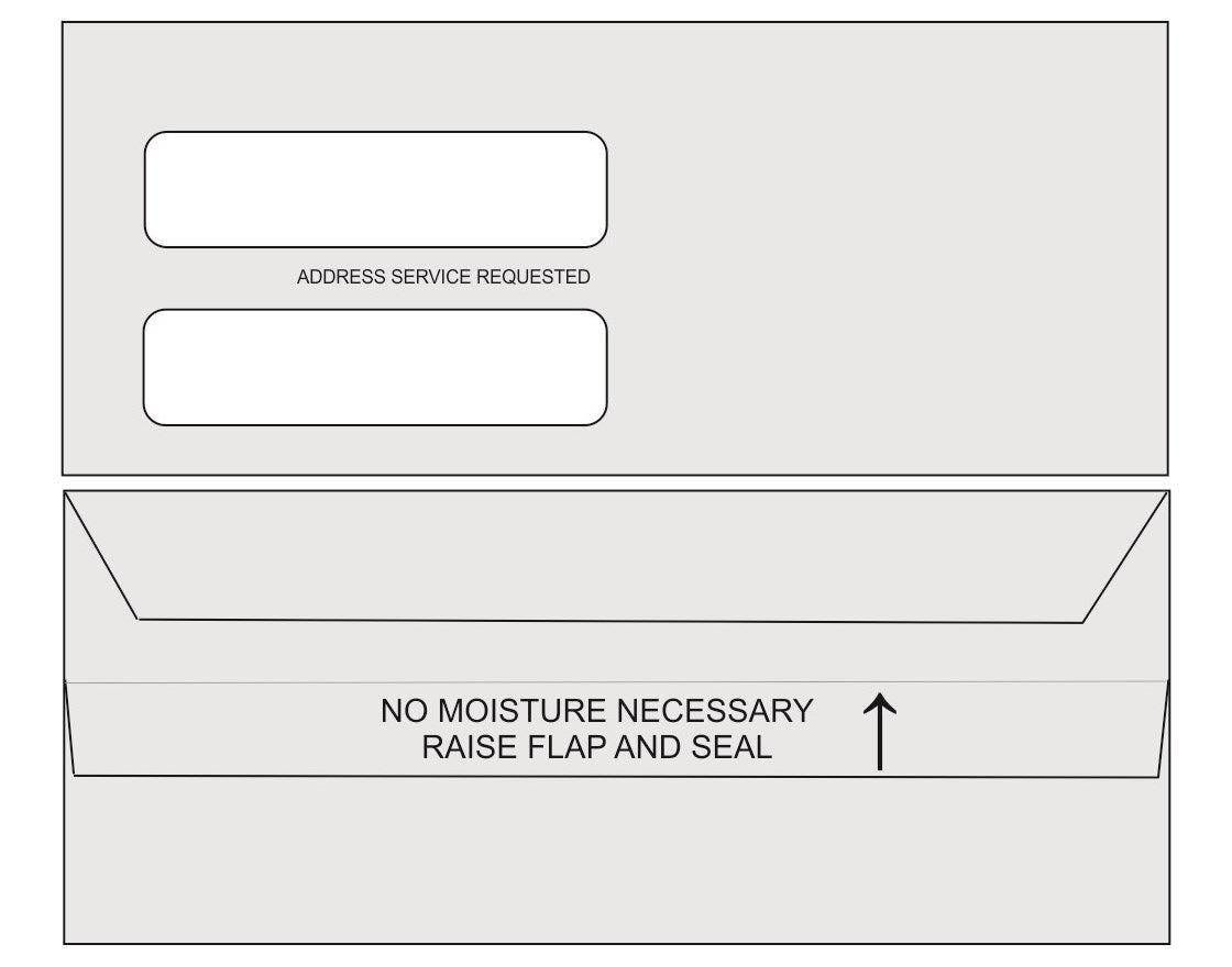 Double Window Statement Envelopes SS9