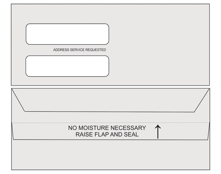 Double Window Statement Envelopes SS9